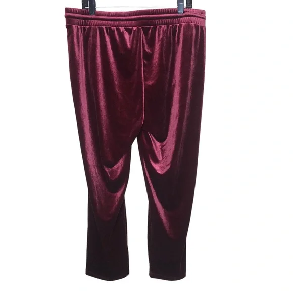 NEW Torrid Velvet Ankle Pants 2X Zinfandel Elastic Waist Lounge NEW WITH TAGS - Picture 2 of 9